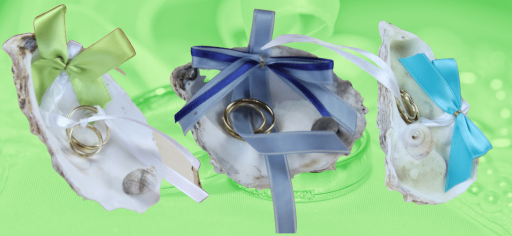 Ringmuscheln